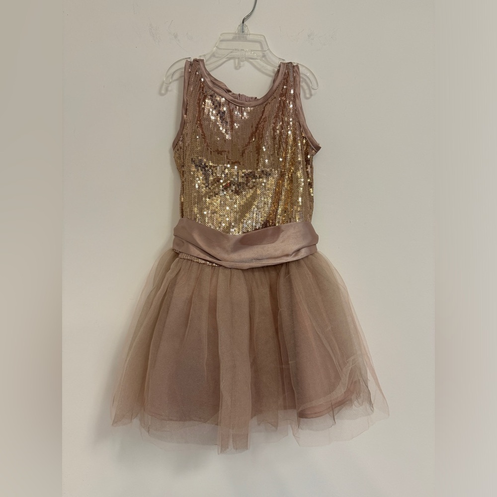 Biscotti Winter 13 girls dress